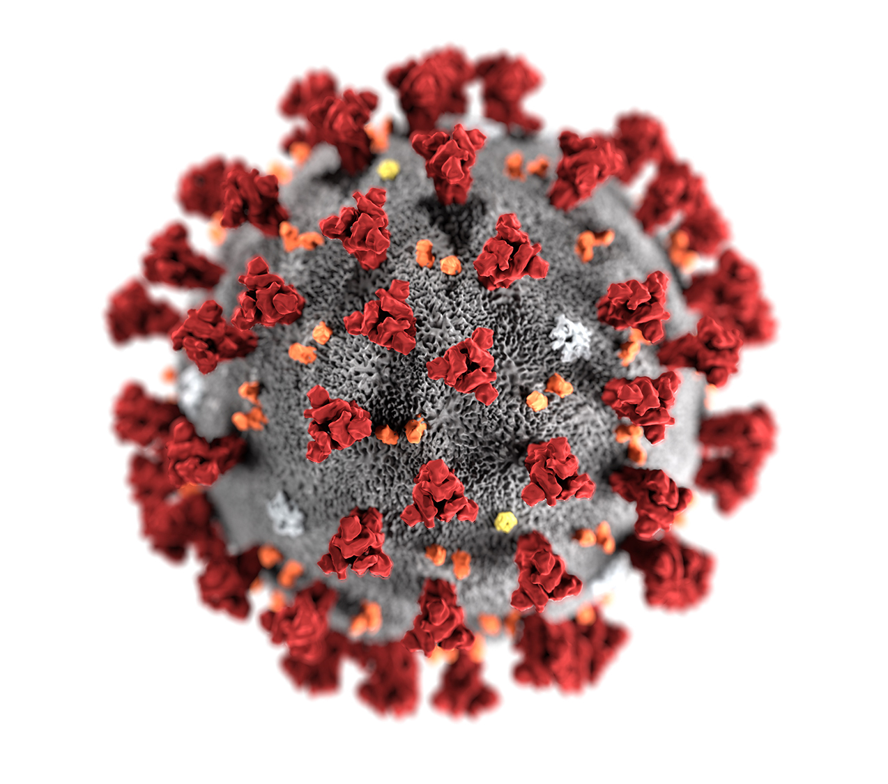 Coronavirus-CDC